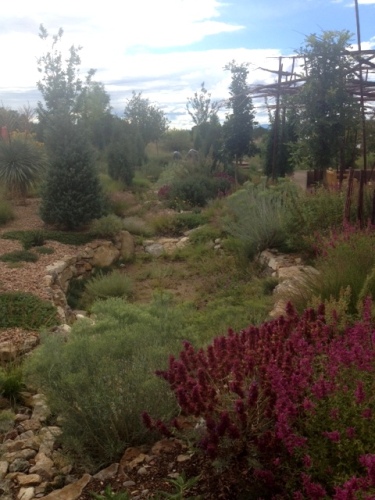 Good To Grow, Liza's photos, the Santa Fe Botanical Garden